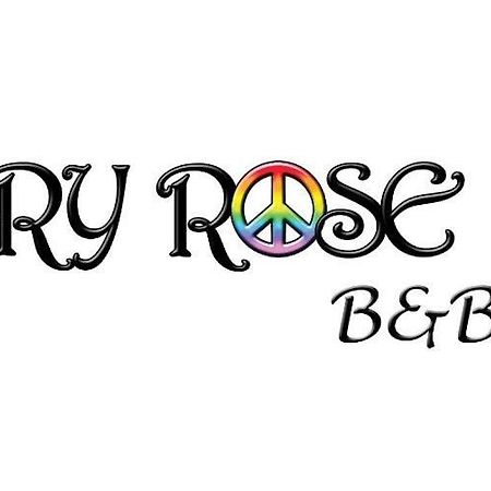 Mary Rose Bed & Breakfast Кастел Волтурно Екстериор снимка